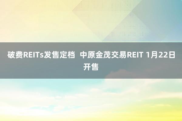 破费REITs发售定档  中原金茂交易REIT 1月22日开售