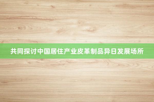 共同探讨中国居住产业皮革制品异日发展场所